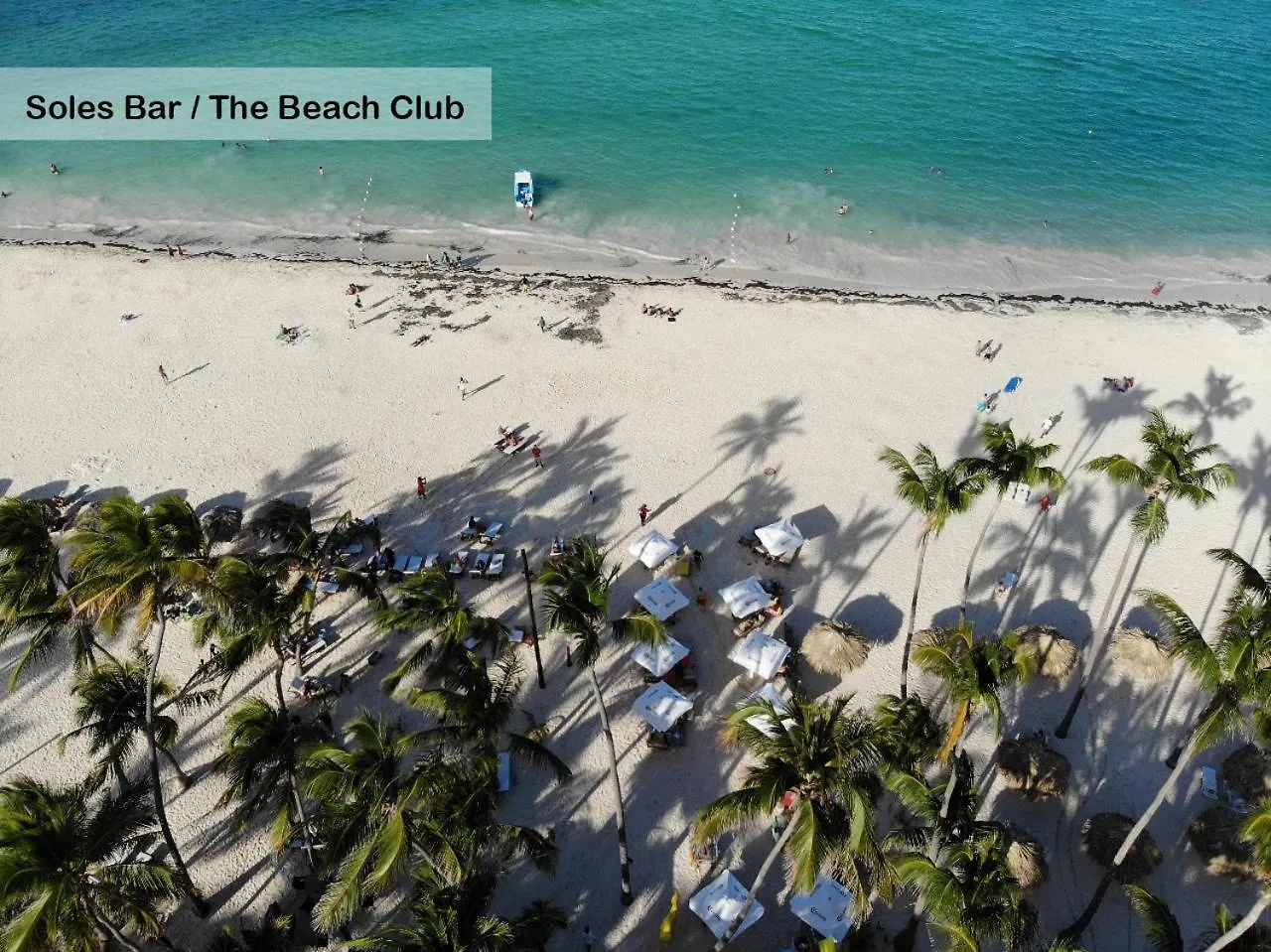 Tropical Relaxing 2 Bedroom Unit With Picuzzi Punta Cana